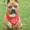 Tillie m