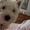 Helle M