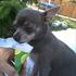 Heidi - Shelly lelly <3 .