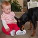 Ekstra stort måltid til Dobermann :-)