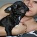 Fransk Bulldog - Hot or Not ?
