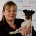 stamtavle studie til amstaff folk