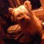 Henriette og Peter. k