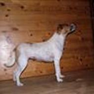 heidi.berthou d