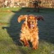 ¤ AnnabellKristine ¤