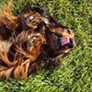 ¤ Rikke elsker sin noah<3 ¤