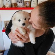 Frederikke  s