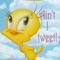 tweety S