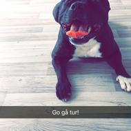 Casper A