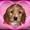 Cecilie T