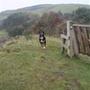 Bailey V