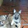 Klaus, Malou .. O