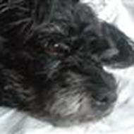 ZENTA&FRIDDE MY SOLUMATES -