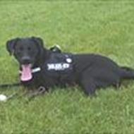 Christian & Nala :) .