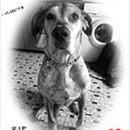 .R.I.P. Kia<3 05/10-11 ©