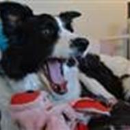 * Emmelie Svendsen *