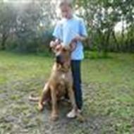 Rie og den smukke Bella