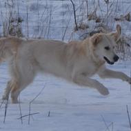 ¤TuT¤ Charme, selv tillid og evigt venskab ! < 3