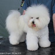 Gitte O - med uldtotterne