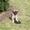 dorte holm s