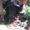 Mette N