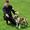 Damgaard^  -