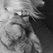Fransk mastiff hun - inseminering