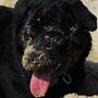 Annsholm -