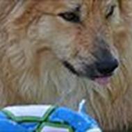 JasminFilander&'Kato .