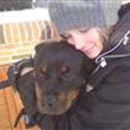 *'Gø & Gokke!'* \Rottweiler Team!/ '