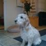 . Sofie-Bertha .