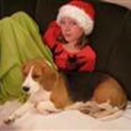 dyre elsker- number one!:D elsker dig smilla ;* .