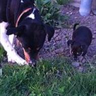 Thomas og Kirsten. V