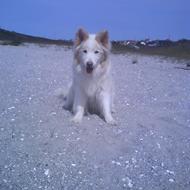 Maja & Freja 4-ever<3