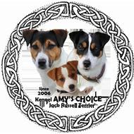 Amy's Choice