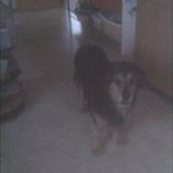 Matilde (