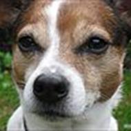 *kristine&kvik foraltid* .