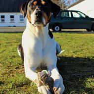 sabrina c * SKVCphoto* 