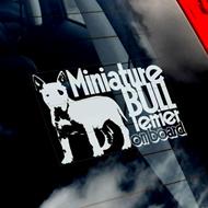 Kennel Amazing Miniz