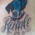 rene j