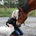 Kender I Sobel?