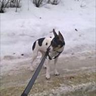 !! Streetfighterz 6920 racing !! .