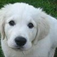 Quest For Gold Lucky:*<3 B