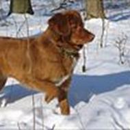 " Malou min elskede hund <3<3!! elsker dig!<3 ;D "