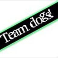 Team dogs !
