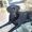 Sanne H