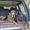 tania j