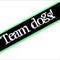 Team dogs !