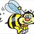 Bumble bee .