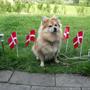 Grethe